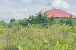 Conflit foncier à Wonkifong : L’ex-ministre Naby Youssouf Kiridi Bangoura accusé de s’approprier 4 hectares appartenant aux héritiers de feu Koyé Fodé Mandenyi Camara